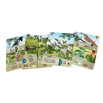Pack completo: FOREST SHUFFLE : Juego Base + LINDE DEL BOSQUE + EXPLORACIÓN + CUMBRES ALPINAS