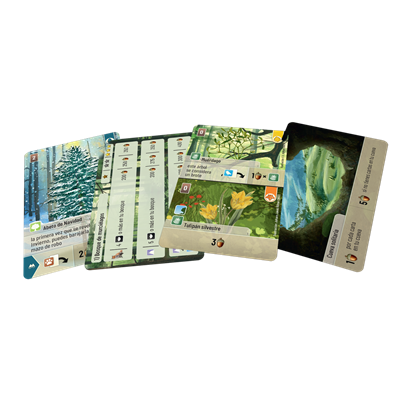 Pack completo: FOREST SHUFFLE : Juego Base + LINDE DEL BOSQUE + EXPLORACIÓN + CUMBRES ALPINAS