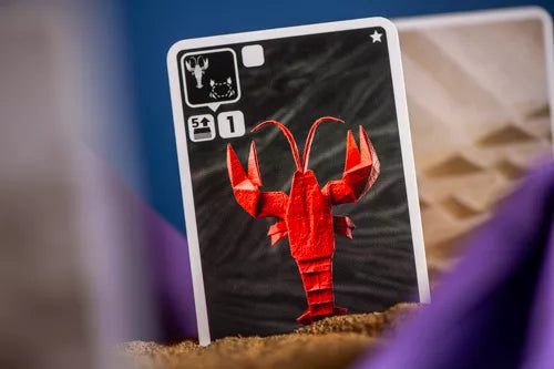 Pack completo de OCÉANOS DE PAPEL + ¡LA MAR SALADA! + PAPELILLOS A LA MAR