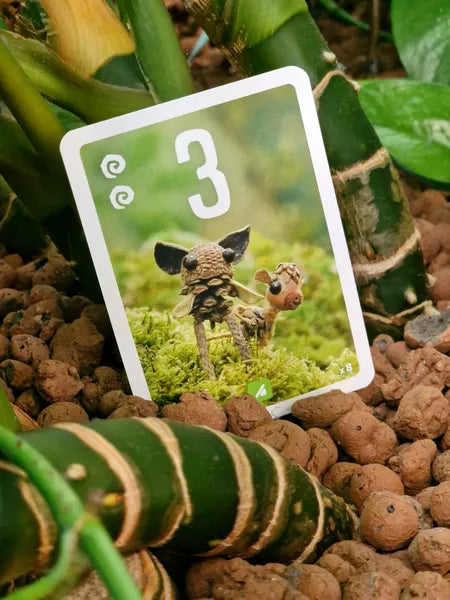 PIXIES + FLOWER POWER