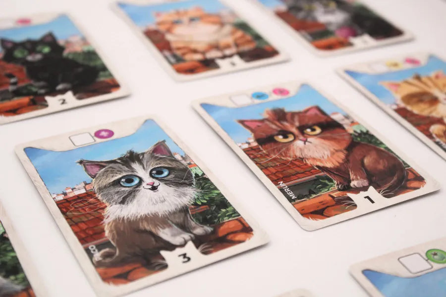 Pack especial: CATHOOD + CATHOOH: FAMILY & FRIENDS