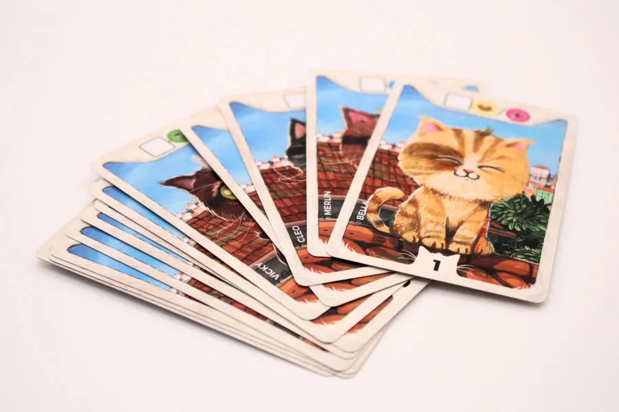 Pack especial: CATHOOD + CATHOOH: FAMILY & FRIENDS